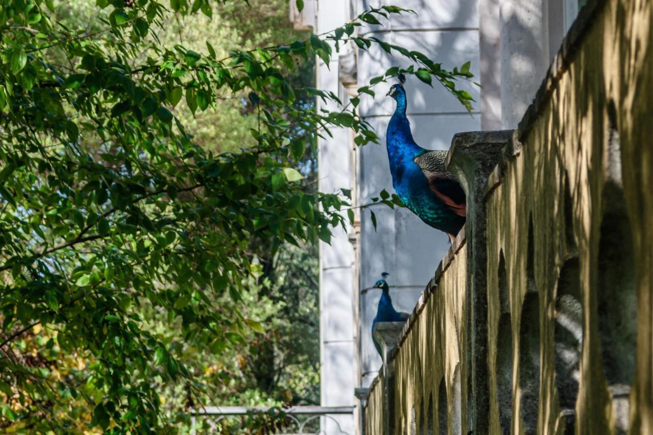 Casas da Tapada Apartment Lisbon Bagian luar foto